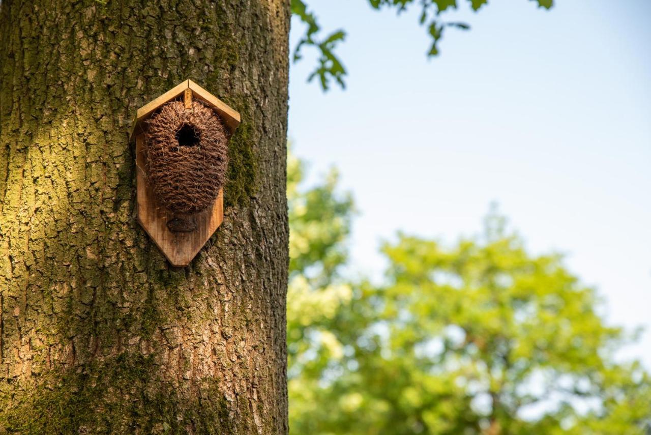 Nature Hideout At Veluwe Nature Park Putten Εξωτερικό φωτογραφία